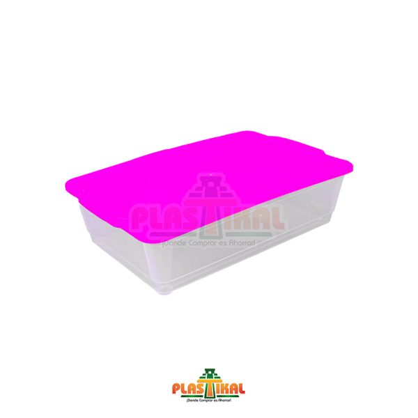 Caja Transparente 4L. – Plastikal