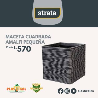 WEB JULIO - 11