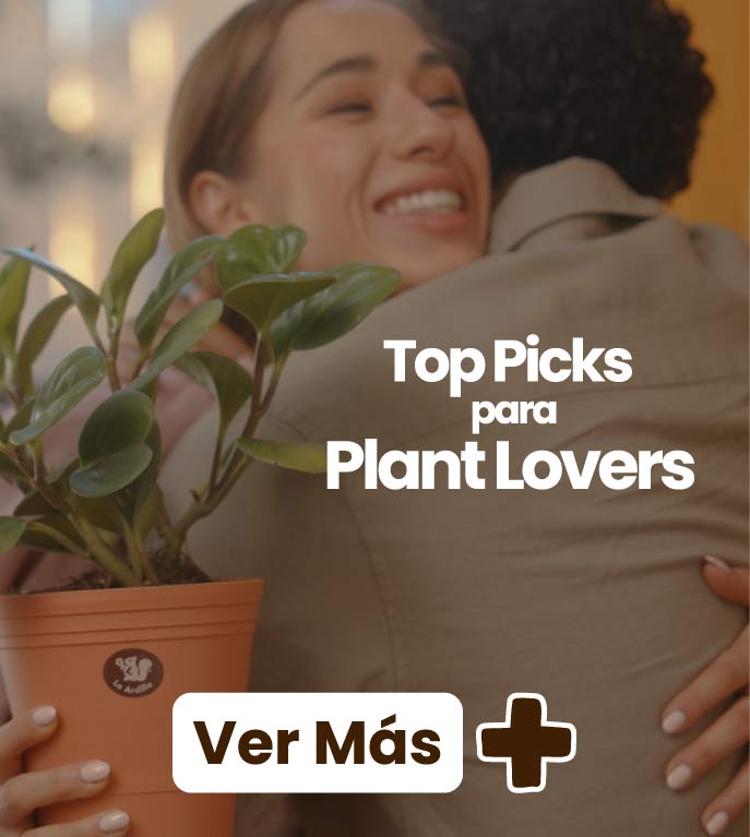 ver-mas-jul26