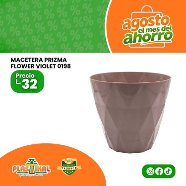 WEB AGOSTO 2026 - 12