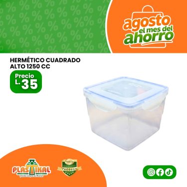 WEB AGOSTO 2026 - 13