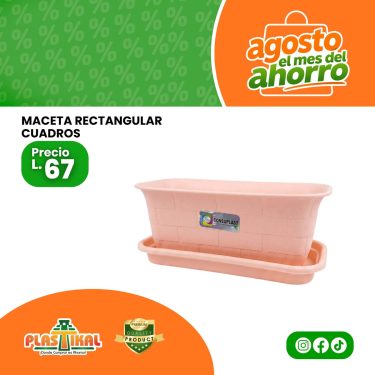 WEB AGOSTO 2026 - 18