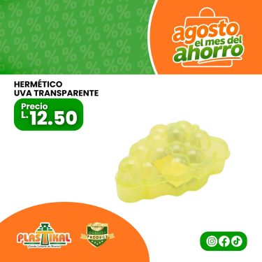 WEB AGOSTO 2026 - 2